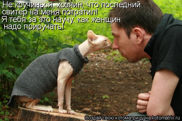 Котоматрица: Не кручинься, хозяин, что последний свитер на меня потратил! Я тебя за это научу, как женщин надо приручать!