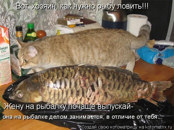 Котоматрица: Вот, хозяин, как нужно рыбу ловить!!! Жену на рыбалку почаще выпускай- она на рыбалке делом занимается, в отличие от тебя...