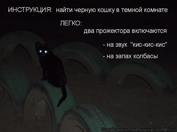 ЛЕГКО: два прожектора включаются - на звук "кис-кис-кис" - на запах колбасы ИНСТРУКЦИЯ: найти че... Котоматрица: ЛЕГКО: два прожектора включаются - на звук "кис-кис-кис" - на запах колбасы ИНСТРУКЦИЯ: найти черную кошку в темной комнате