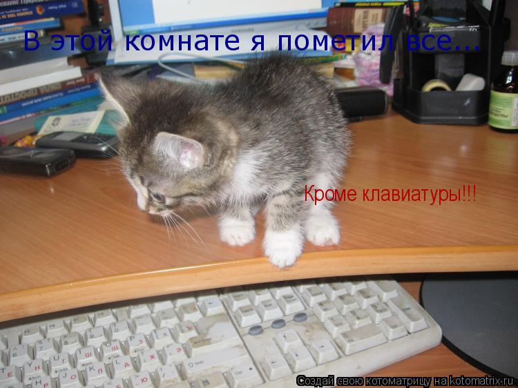 В этой комнате я пометил все... Кроме клавиатуры!!!... Котоматрица: В этой комнате я пометил все... Кроме клавиатуры!!!