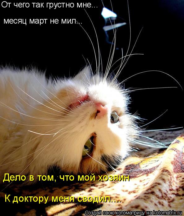 От чего так грустно мне... месяц март не мил... Дело в том, что мой хозяин К доктору меня сводил....... Котоматрица: От чего так грустно мне... месяц март не мил... Дело в том, что мой хозяин К доктору меня сводил....
