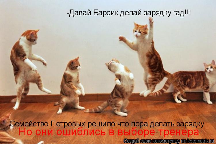 -Давай Барсик делай зарядку гад!!! Семейство Петровых решило что пора делать зарядку. Но они ошиблись... Котоматрица: -Давай Барсик делай зарядку гад!!! Семейство Петровых решило что пора делать зарядку. Но они ошиблись в выборе тренера