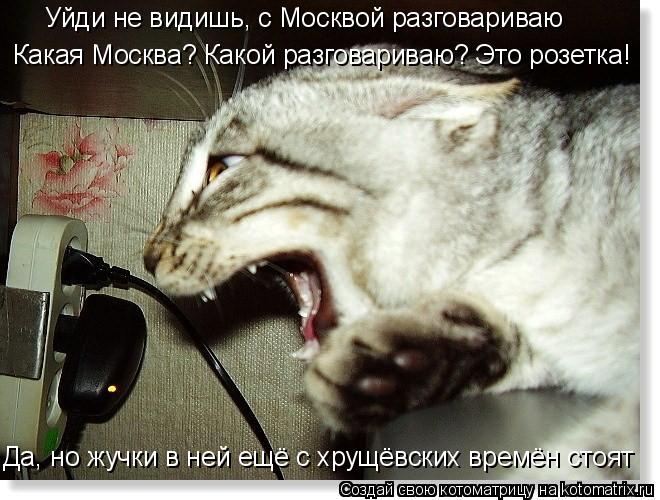 Уйди не видишь, с Москвой разговариваю Какая Москва? Какой разговариваю? Это розетка! Да, но жучки в ... Котоматрица: Уйди не видишь, с Москвой разговариваю Какая Москва? Какой разговариваю? Это розетка! Да, но жучки в ней ещё с хрущёвских времён стоят