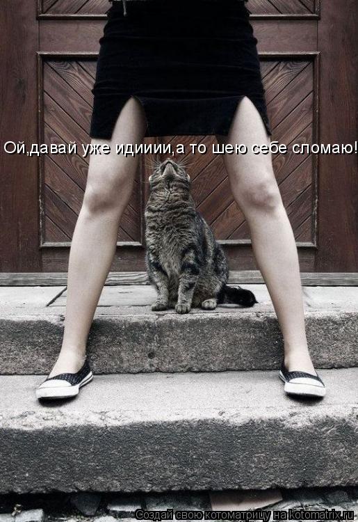Ой,давай уже идииии,а то шею себе сломаю!... Котоматрица: Ой,давай уже идииии,а то шею себе сломаю!