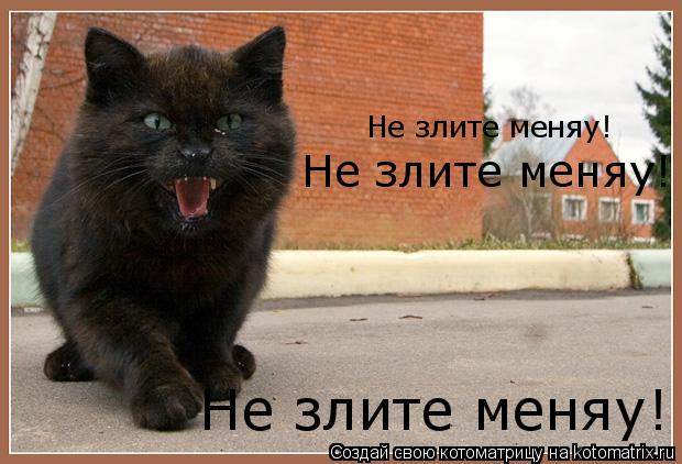 Не злите меняу! Не злите меняу! Не злите меняу!... Котоматрица: Не злите меняу! Не злите меняу! Не злите меняу!
