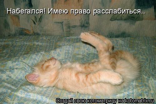 Котоматрица: Набегался! Имею право расслабиться..