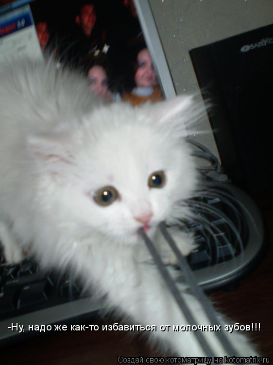 Котоматрица: -Ну, надо же как-то избавиться от молочных зубов!!!