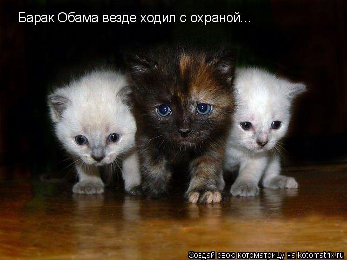 Котоматрица: Барак Обама везде ходил с охраной...