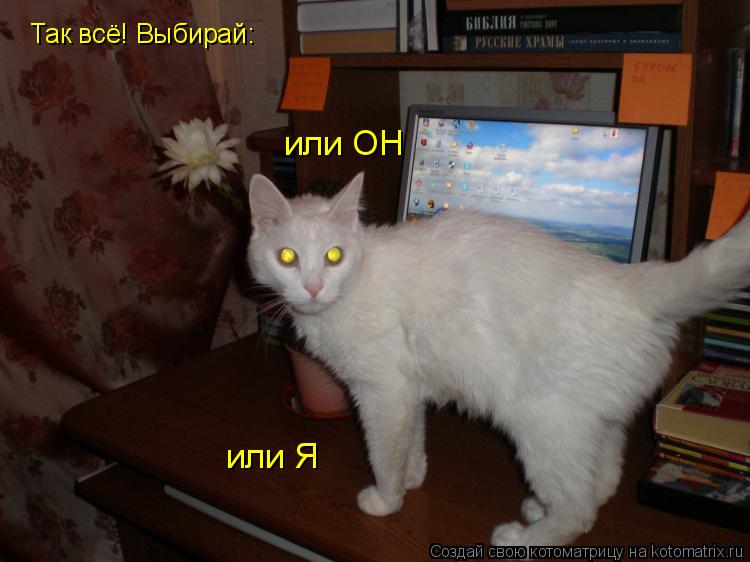 Котоматрица: Так всё! Выбирай: или ОН или Я