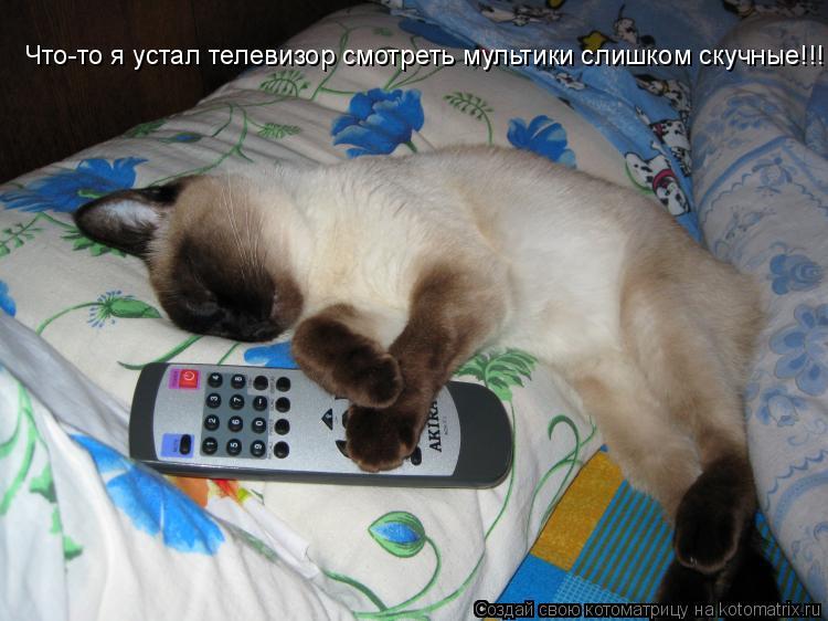 Котоматрица: Что-то я устал телевизор смотреть мультики слишком скучные!!!