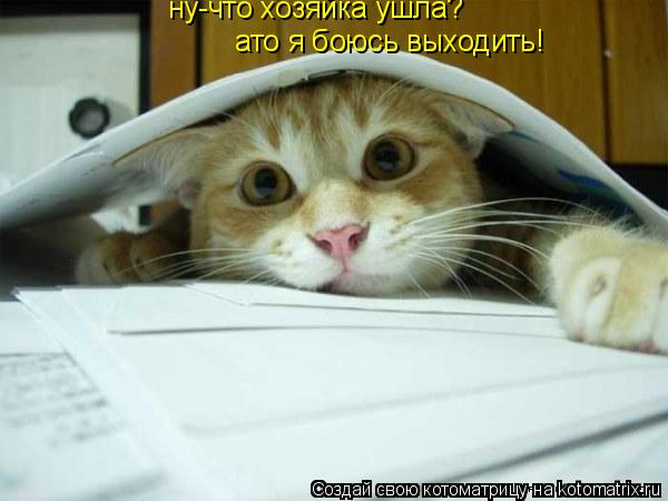Котоматрица: ну-что хозяйка ушла? ато я боюсь выходить!