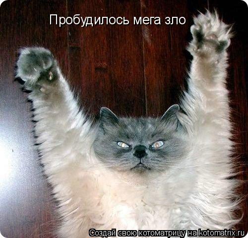Котоматрица: Пробудилось мега зло