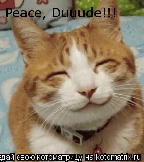 Котоматрица: Peace, Duuude!!!