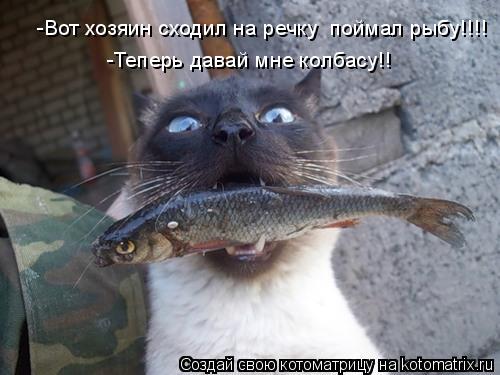 Котоматрица: -Вот хозяин сходил на речку  поймал рыбу!!!! -Теперь давай мне колбасу!!