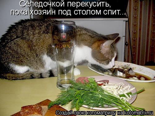 Селедочкой перекусить, пока хозяин под столом спит...... Котоматрица: Селедочкой перекусить, пока хозяин под столом спит...