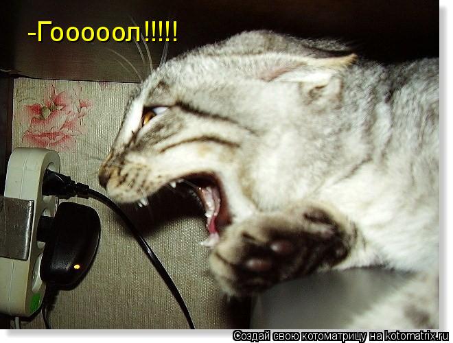 -Гооооол!!!!!... Котоматрица: -Гооооол!!!!!