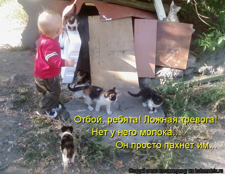 Котоматрица: Отбой, ребята! Ложная тревога! Нет у него молока... Он просто пахнет им...