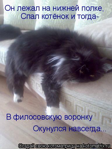 Он лежал на нижней полке, Он лежал на нижней полке, Спал котёнок и тогда- В филосовскую воронку Окуну... Котоматрица: Он лежал на нижней полке, Он лежал на нижней полке, Спал котёнок и тогда- В филосовскую воронку Окунулся навсегда...