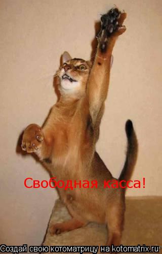 Свободная касса!... Котоматрица: Свободная касса!