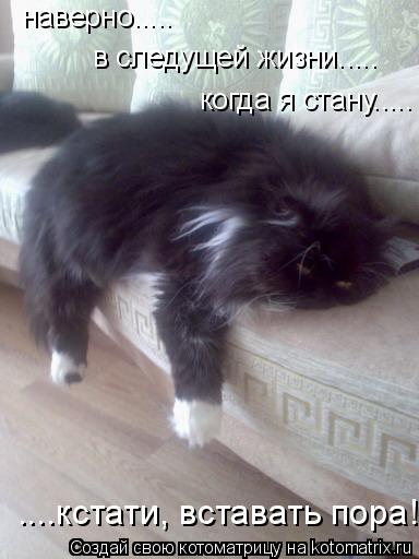 наверно..... в следущей жизни..... когда я стану..... ....кстати, вставать пора!... Котоматрица: наверно..... в следущей жизни..... когда я стану..... ....кстати, вставать пора!