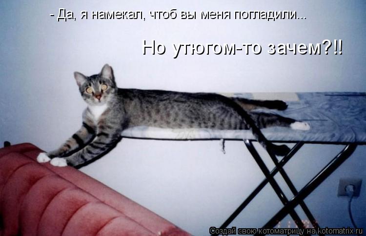 - Да, я намекал, чтоб вы меня погладили... Но утюгом-то зачем?!!... Котоматрица: - Да, я намекал, чтоб вы меня погладили... Но утюгом-то зачем?!!