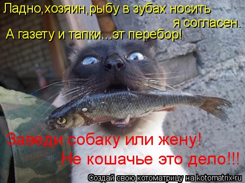я согласен. Ладно,хозяин,рыбу в зубах носить Заведи собаку или жену! Не кошачье это дело!!! А газету ... Котоматрица: я согласен. Ладно,хозяин,рыбу в зубах носить Заведи собаку или жену! Не кошачье это дело!!! А газету и тапки...эт перебор!