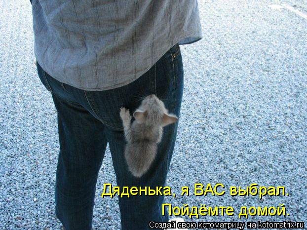 Котоматрица: Пойдёмте домой. Дяденька, я ВАС выбрал.