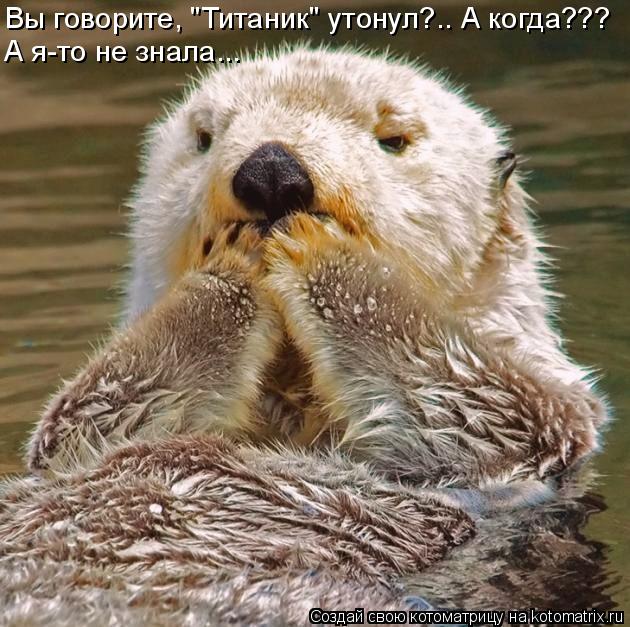 Котоматрица: Вы говорите, "Титаник" утонул?.. А когда??? А я-то не знала...