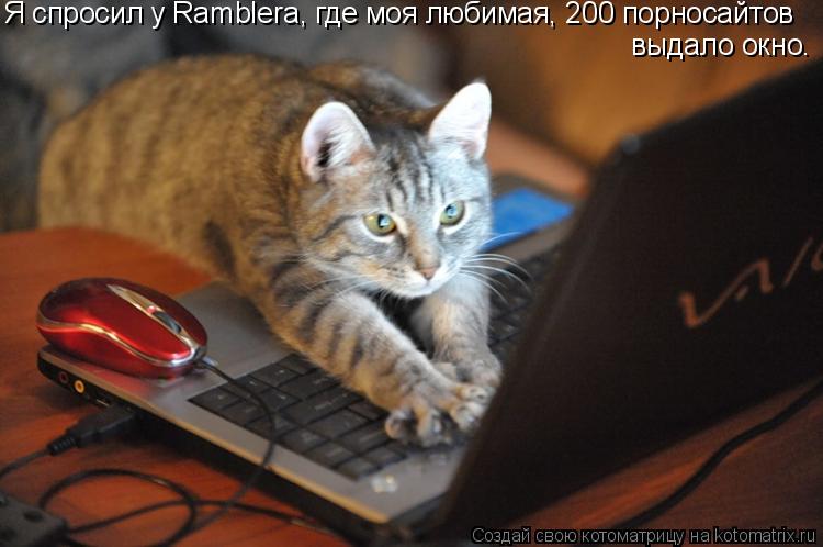 Я спросил у Ramblera, где моя любимая, 200 порносайтов выдало окно.... Котоматрица: Я спросил у Ramblera, где моя любимая, 200 порносайтов выдало окно.