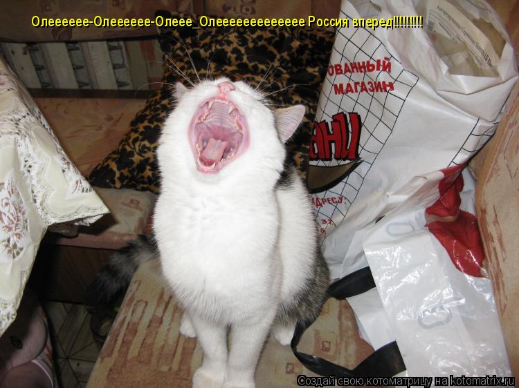 Олееееее-Олееееее-Олеее_Олеееееееееееее Россия вперед!!!!!!!!!... Котоматрица: Олееееее-Олееееее-Олеее_Олеееееееееееее Россия вперед!!!!!!!!!
