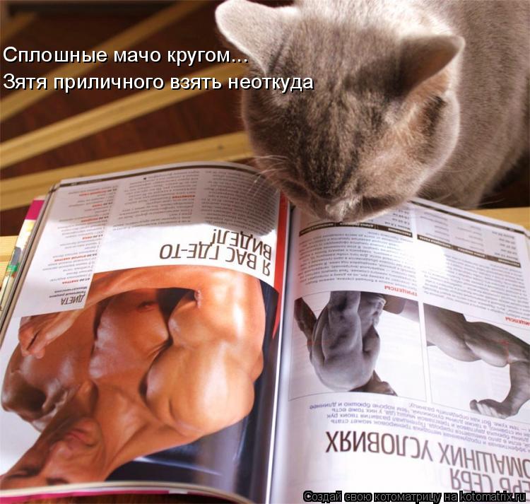 Котоматрица: Сплошные мачо кругом... Зятя приличного взять неоткуда