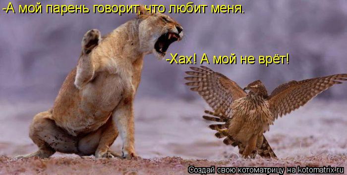 -А мой парень говорит, что любит меня. -Хах! А мой не врёт!... Котоматрица: -А мой парень говорит, что любит меня. -Хах! А мой не врёт!