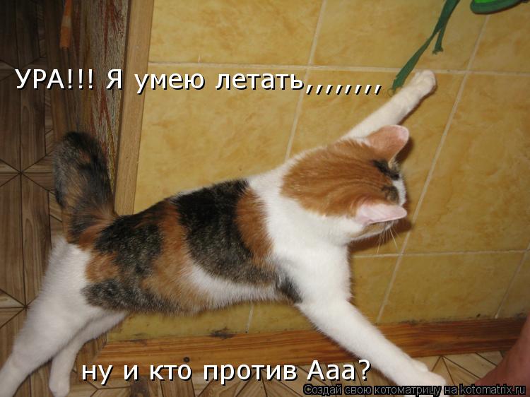 УРА!!! Я умею летать,,,,,,,, ну и кто против Ааа?... Котоматрица: УРА!!! Я умею летать,,,,,,,, ну и кто против Ааа?