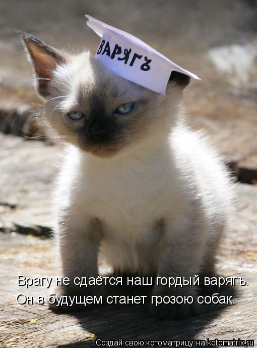 Врагу не сдаётся наш гордый варягъ. Он в будущем станет грозою собак.... Котоматрица: Врагу не сдаётся наш гордый варягъ. Он в будущем станет грозою собак.