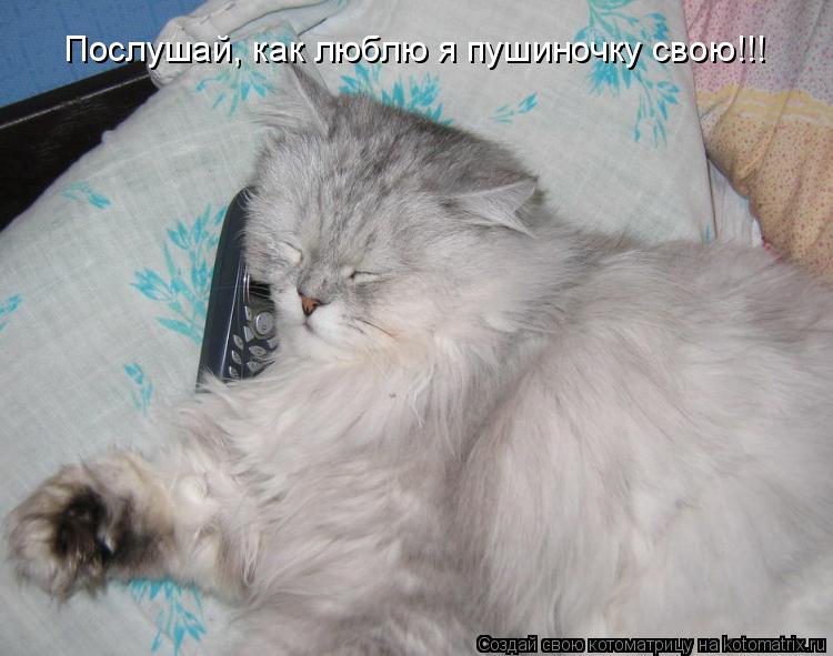 Послушай, как люблю я пушиночку свою!!!... Котоматрица: Послушай, как люблю я пушиночку свою!!!