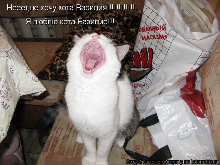 Котоматрица: Нееет,не хочу кота Василия!!!!!!!!!!!!! Я люблю кота Базилио!!!