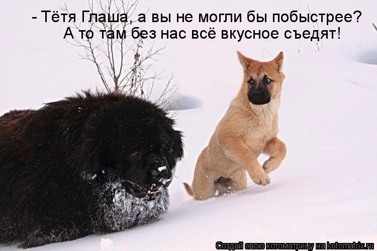 - Тётя Глаша, а вы не могли бы побыстрее? А то там без нас всё вкусное съедят!... Котоматрица: - Тётя Глаша, а вы не могли бы побыстрее? А то там без нас всё вкусное съедят!