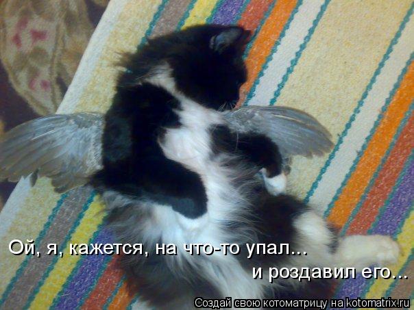 Ой, я, кажется, на что-то упал... и роздавил его...... Котоматрица: Ой, я, кажется, на что-то упал... и роздавил его...
