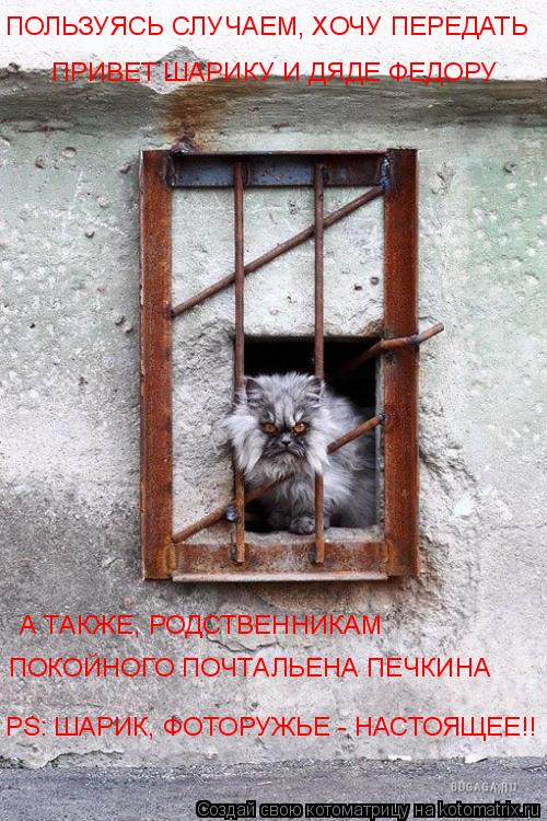 ПОЛЬЗУЯСЬ СЛУЧАЕМ, ХОЧУ ПЕРЕДАТЬ ПРИВЕТ ШАРИКУ И ДЯДЕ ФЕДОРУ А ТАКЖЕ, РОДСТВЕННИКАМ ПОКОЙНОГО ПОЧТА... Котоматрица: ПОЛЬЗУЯСЬ СЛУЧАЕМ, ХОЧУ ПЕРЕДАТЬ ПРИВЕТ ШАРИКУ И ДЯДЕ ФЕДОРУ А ТАКЖЕ, РОДСТВЕННИКАМ ПОКОЙНОГО ПОЧТАЛЬЕНА ПЕЧКИНА PS: ШАРИК, ФОТОРУЖЬЕ - НАС