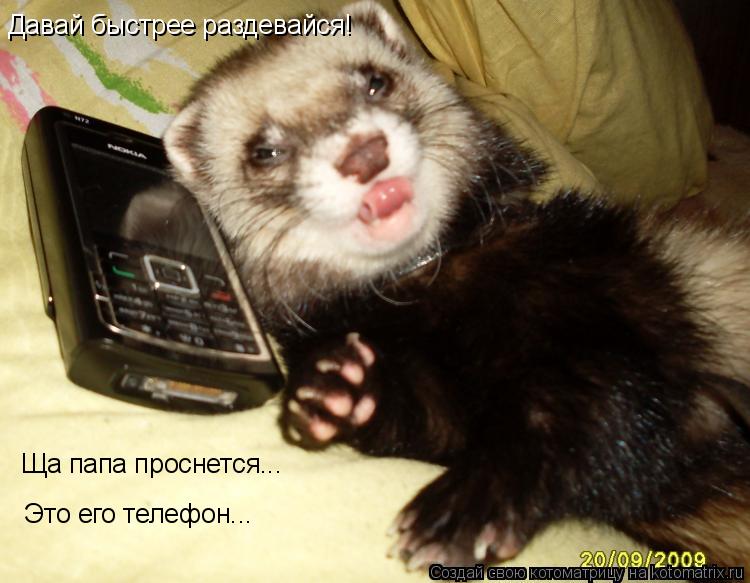 Давай быстрее раздевайся! Ща папа проснется... Это его телефон...... Котоматрица: Давай быстрее раздевайся! Ща папа проснется... Это его телефон...