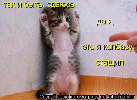 так и быть, сдаюсь это я колбасу стащил да я,... Котоматрица: так и быть, сдаюсь это я колбасу стащил да я,