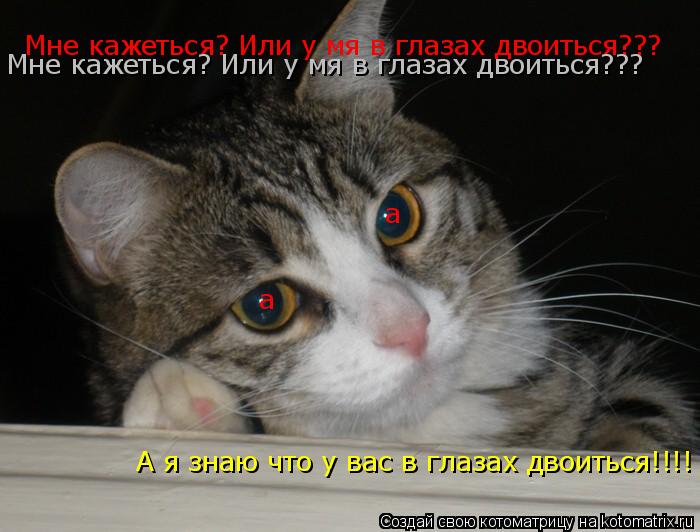 а а Мне кажеться? Или у мя в глазах двоиться??? Мне кажеться? Или у мя в глазах двоиться??? А я знаю ... Котоматрица: а а Мне кажеться? Или у мя в глазах двоиться??? Мне кажеться? Или у мя в глазах двоиться??? А я знаю что у вас в глазах двоиться!!!!