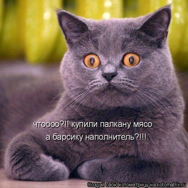 Котоматрица: чтоооо?!! купили палкану мясо а барсику наполнитель?!!!