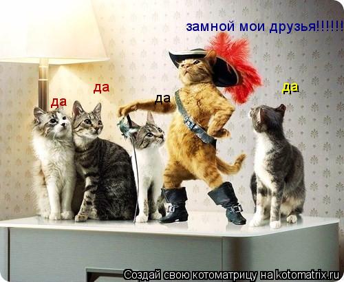 Котоматрица: замной мои друзья!!!!!!!! да да да да