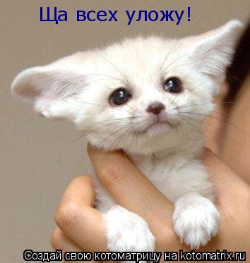 Котоматрица: Ща всех уложу!