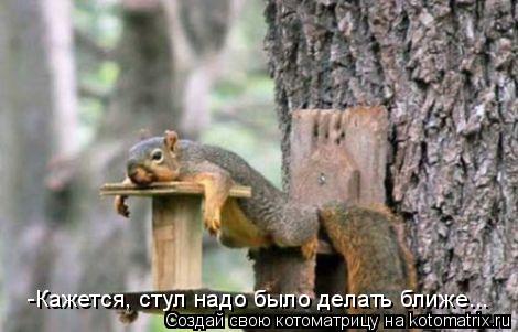 Котоматрица: -Кажется, стул надо было делать ближе...