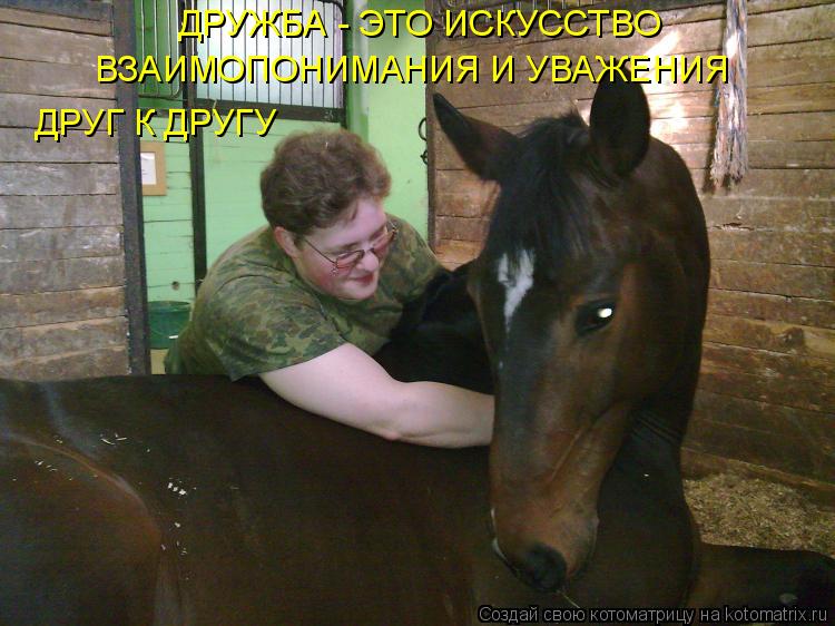 Котоматрица: ДРУЖБА - ЭТО ИСКУССТВО ВЗАИМОПОНИМАНИЯ И УВАЖЕНИЯ ДРУГ К ДРУГУ