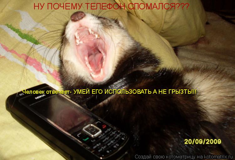 НУ ПОЧЕМУ ТЕЛЕФОН СЛОМАЛСЯ??? Человек отвечает- УМЕЙ ЕГО ИСПОЛЬЗОВАТЬ А НЕ ГРЫЗТЬ!!!... Котоматрица: НУ ПОЧЕМУ ТЕЛЕФОН СЛОМАЛСЯ??? Человек отвечает- УМЕЙ ЕГО ИСПОЛЬЗОВАТЬ А НЕ ГРЫЗТЬ!!!