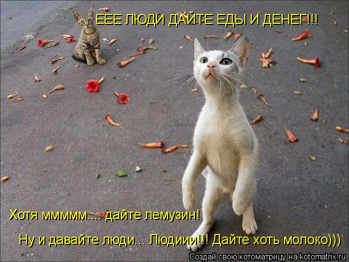 ЕЕЕ ЛЮДИ ДАЙТЕ ЕДЫ И ДЕНЕГ!!! Хотя ммммм.... дайте лемузин! Ну и давайте люди... Людиии!!! Дайте хоть... Котоматрица: ЕЕЕ ЛЮДИ ДАЙТЕ ЕДЫ И ДЕНЕГ!!! Хотя ммммм.... дайте лемузин! Ну и давайте люди... Людиии!!! Дайте хоть молоко)))