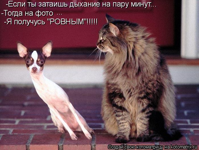 -Если ты затаишь дыхание на пару минут... -Тогда на фото -Я получусь "РОВНЫМ"!!!!! ...... Котоматрица: -Если ты затаишь дыхание на пару минут... -Тогда на фото -Я получусь "РОВНЫМ"!!!!! ...